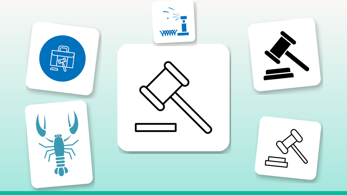 Collage of Infyicon law icons